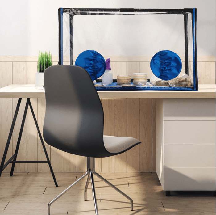 Bella Bora Still Air Box